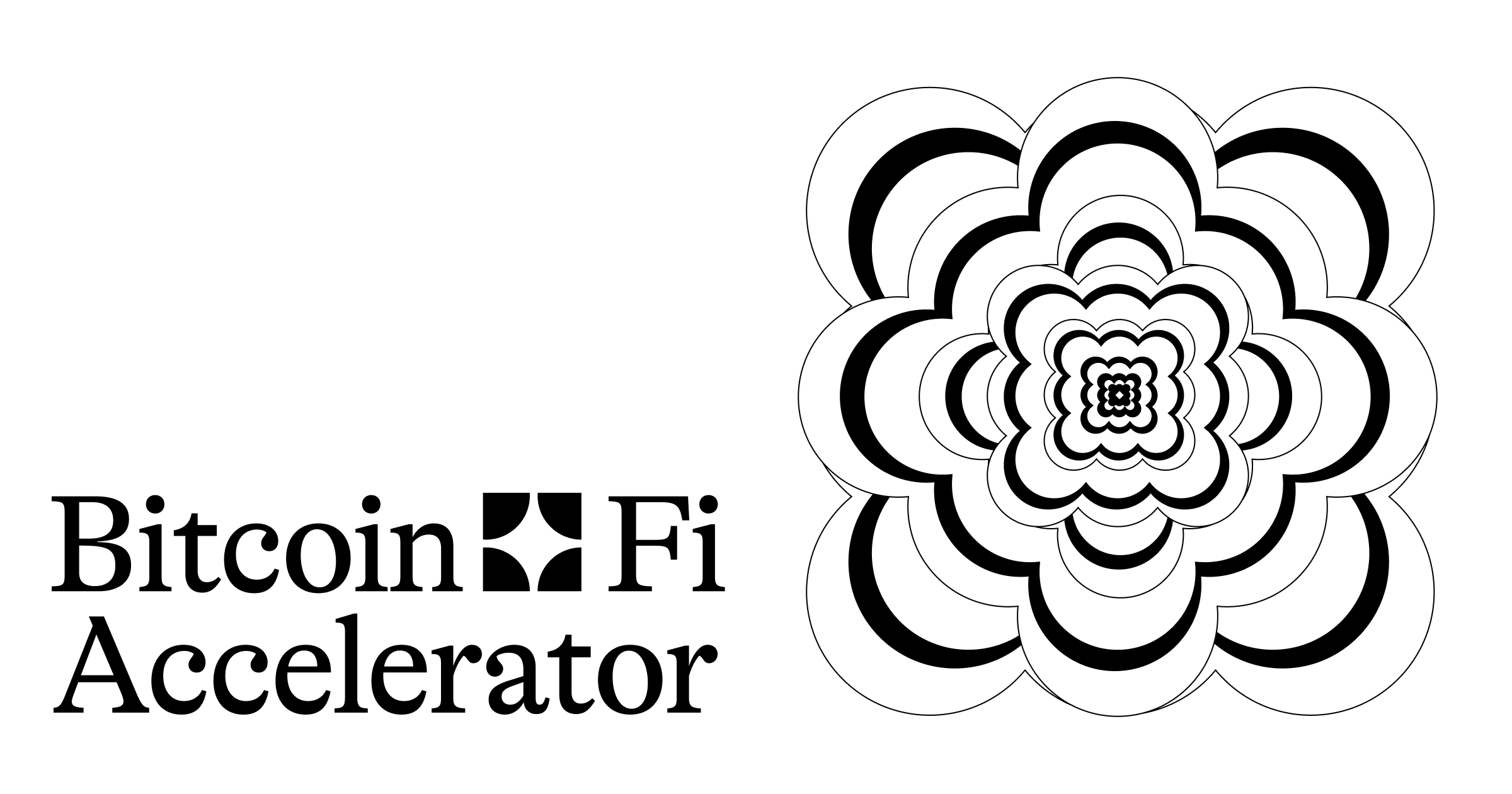 BitcoinFi Accelerator
